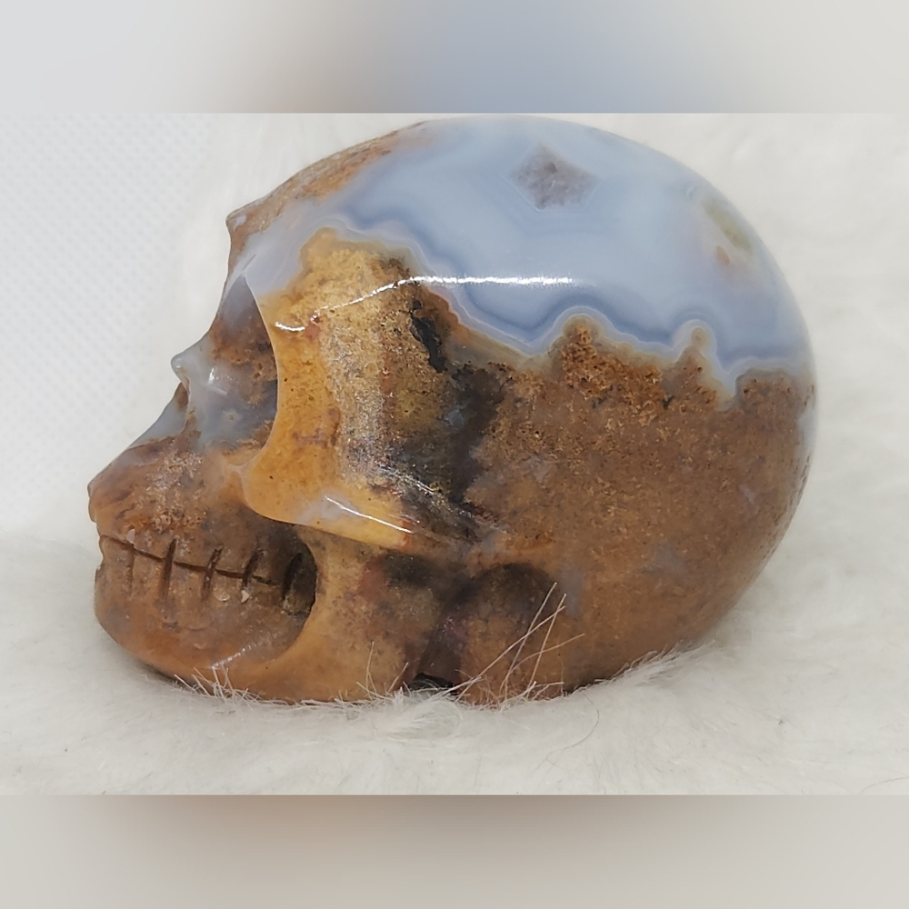 Rare Blue Banded Plume Moss Agate Skull, Druzy Quartz 💀 Crystal Collector Decor - Picture 9 of 13